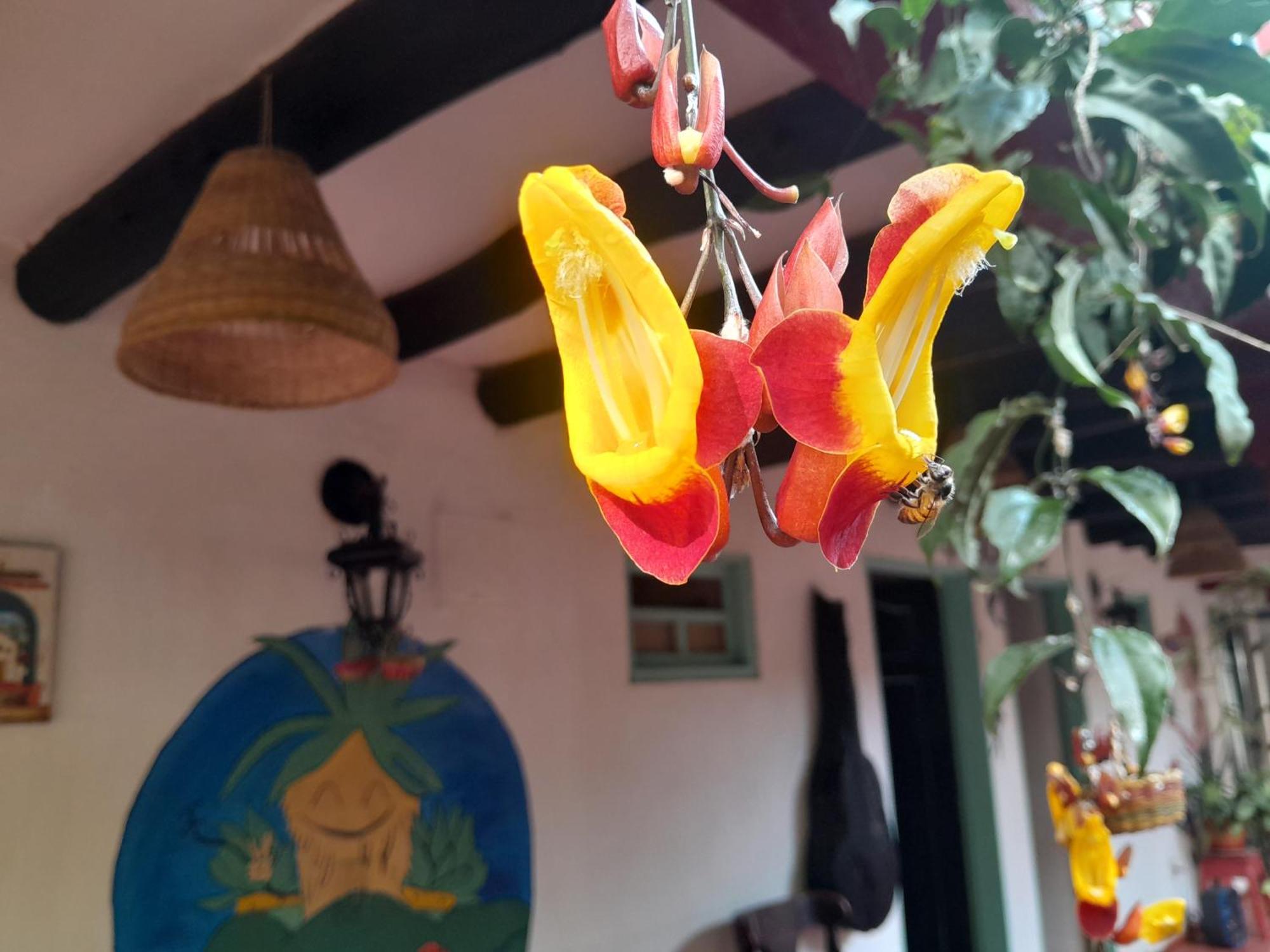 Beija Flor Hostel Villa de Leyva Eksteriør bilde